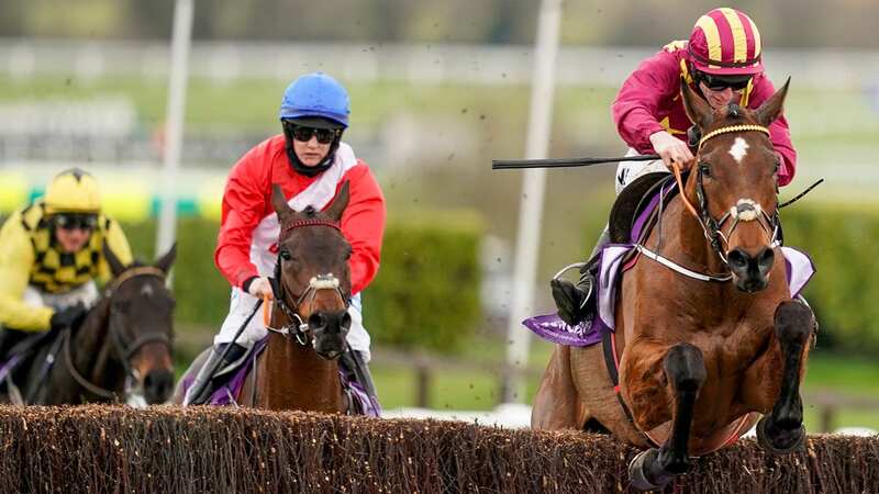 Minella Indo (right) last won at Cheltenham in the 2021 Gold Cup but Newsboy believes he can return to the Prestbury Park winners
