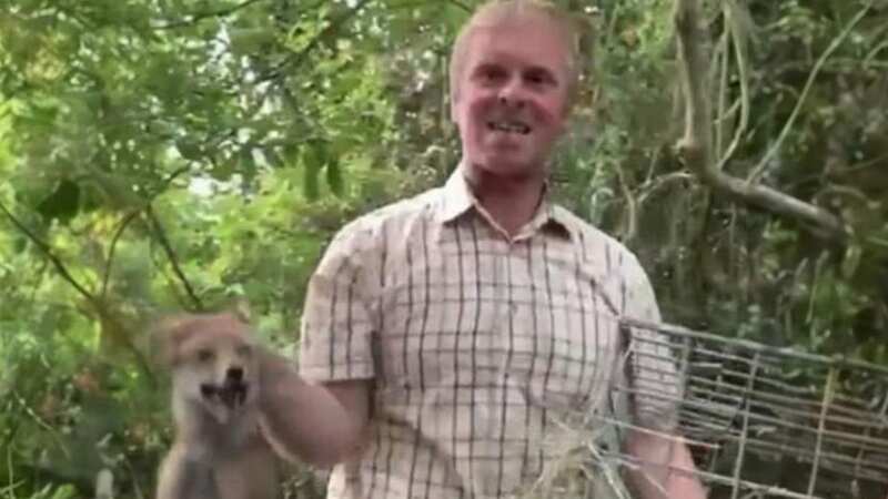 Oliver Thompson is seen in sickening footage throwing a fox to a pack of dogs (Image: RSPCA)