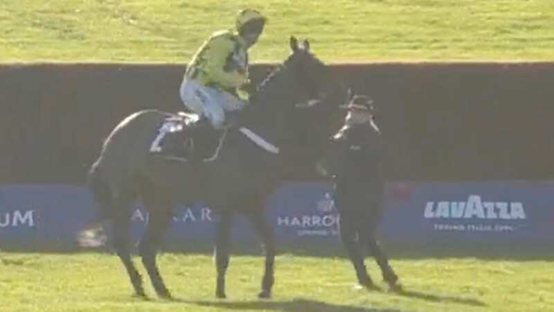 Shishkin at Ascot: trainer hopes there will be no repeat of his antics in the King George VI Chase