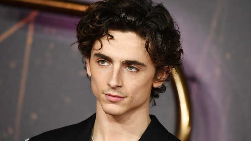Everything coming to Netflix in January including Timothée Chalamet mega-hit