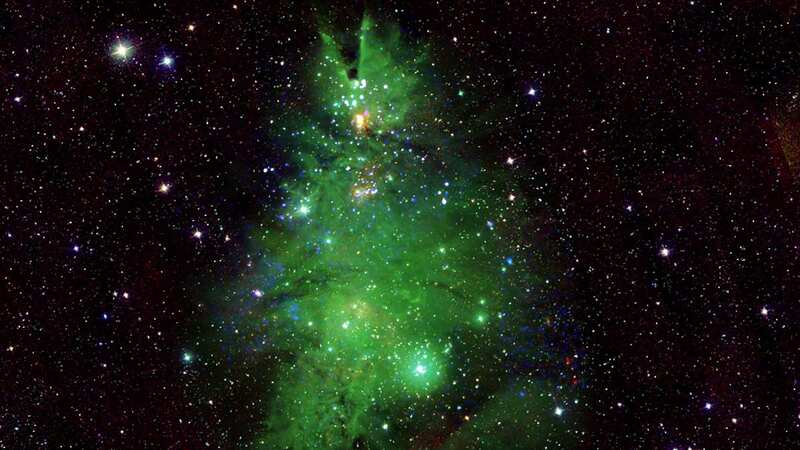 This Christmas tree is in fact a cluster of stars in the Milky Way known as NGC 2264 (Image: NASA et al. / SWNS)