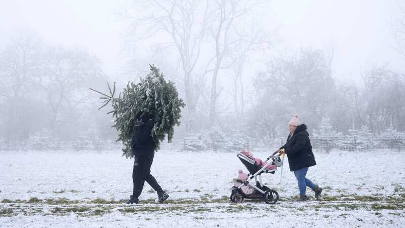 The Met Office has given its verdict on whether there will be a white Christmas (Image: Getty Images)