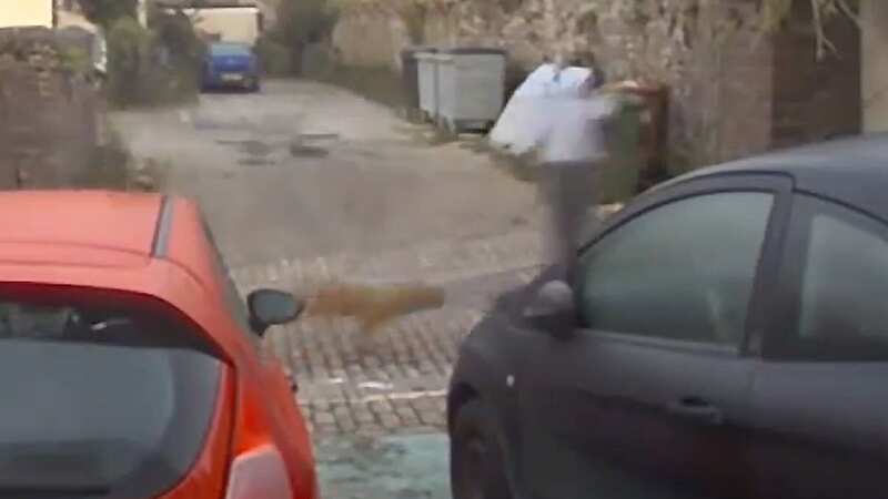 Luna being pulled along behind owner on an electric scooter (Image: RSPCA SWNS)