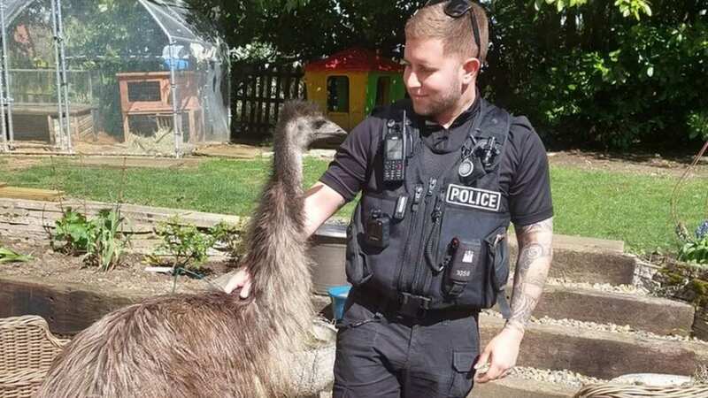 UK