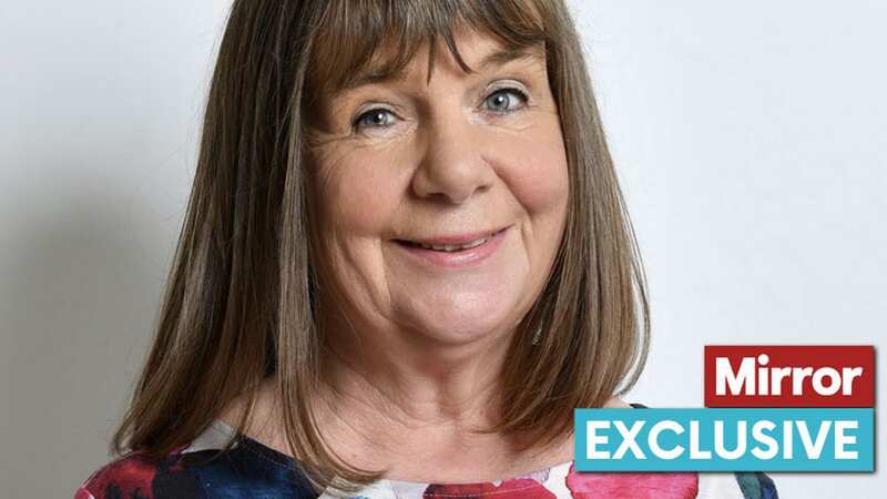 Julia Donaldson on why Rob Brydon was the perfect Tabby McTat star