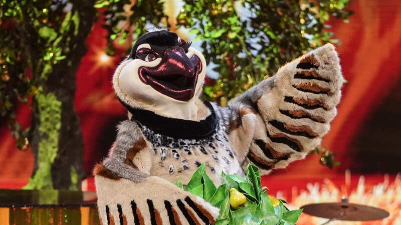 Partridge crowned The Masked Singer Christmas Special winner after tense battle