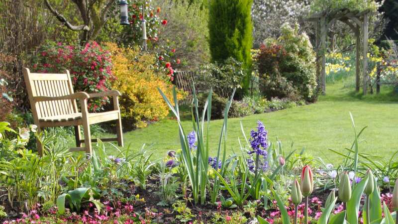 Tulips add vibrancy to any garden come spring (Image: Getty Images)