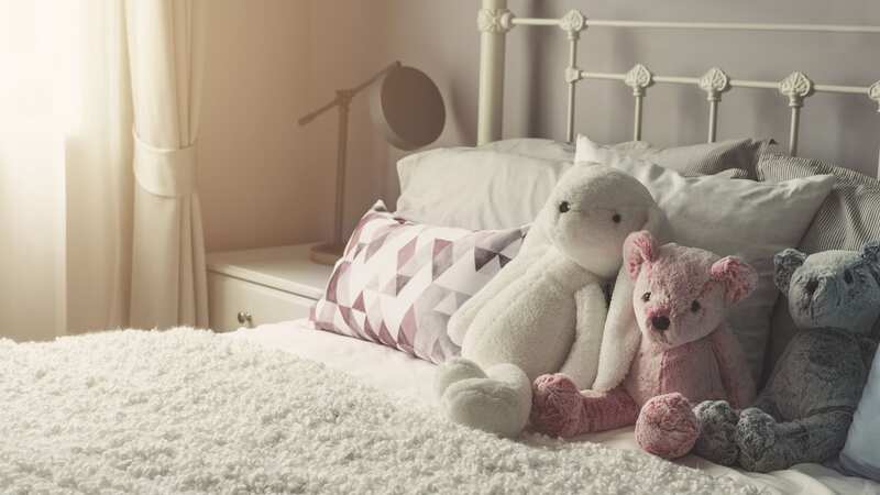 The woman confessed to cuddling stuffed toys in bed (stock photo) (Image: Getty Images/EyeEm)