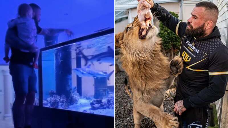 MMA star Karlos Vemola owns a variety of apex predators as pets (Image: https://www.instagram.com/p/CuZDBmJtqyu/?img_index=1)