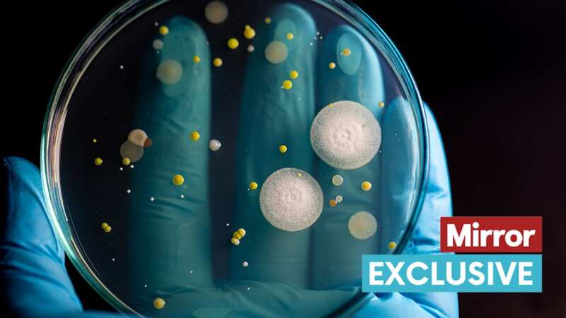 Antibiotic resistance is a leading concern among scientists (Image: PA)
