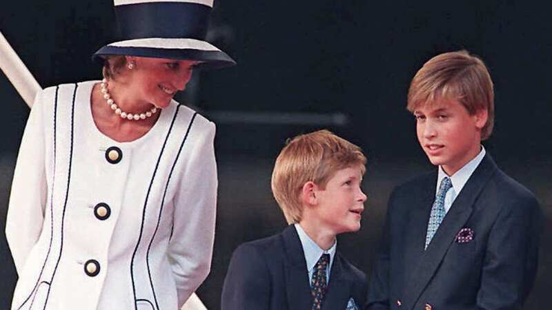An expert claimed William was Diana