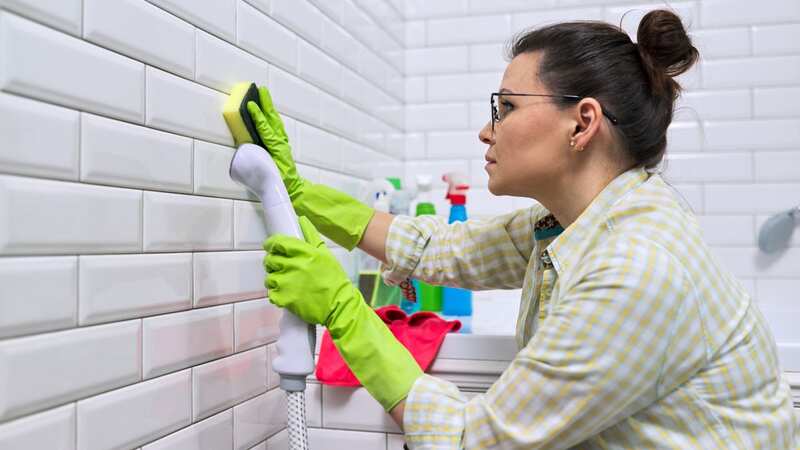 Pink mould is actually a build-up of bacteria (Stock photo) (Image: Getty Images/iStockphoto)
