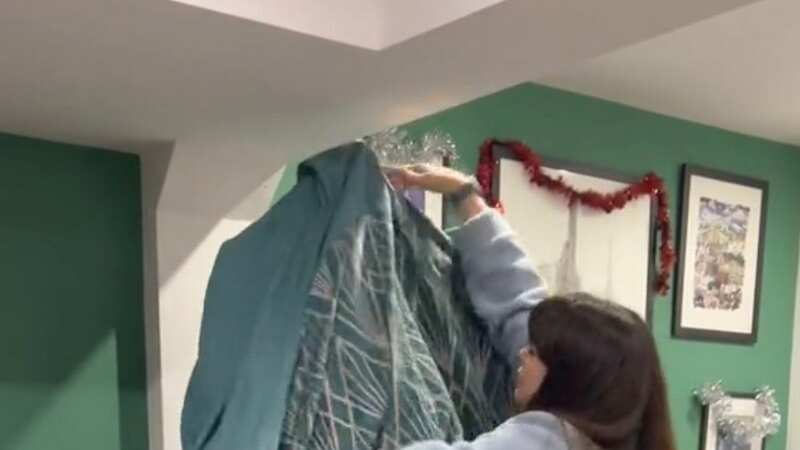 Briony covered the tree to ensure no pine needles dropped on the floor (Image: brionymaybakes/TikTok)