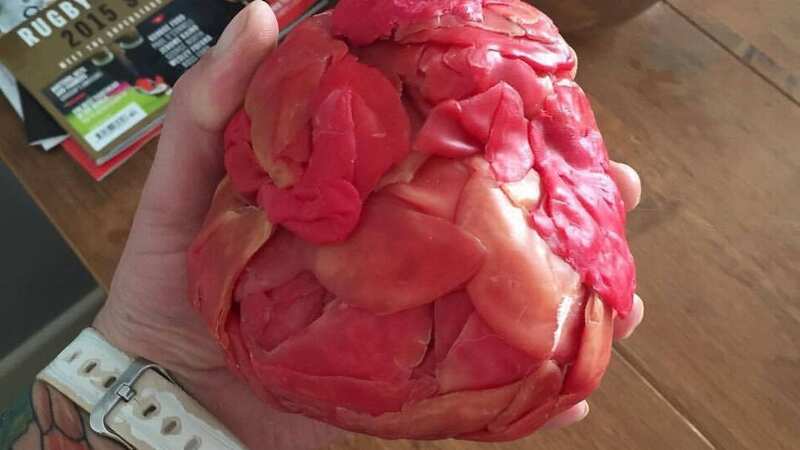 A man has been saving the wax rinds of his Babybel cheese since he was at school (Image: Jam Press)