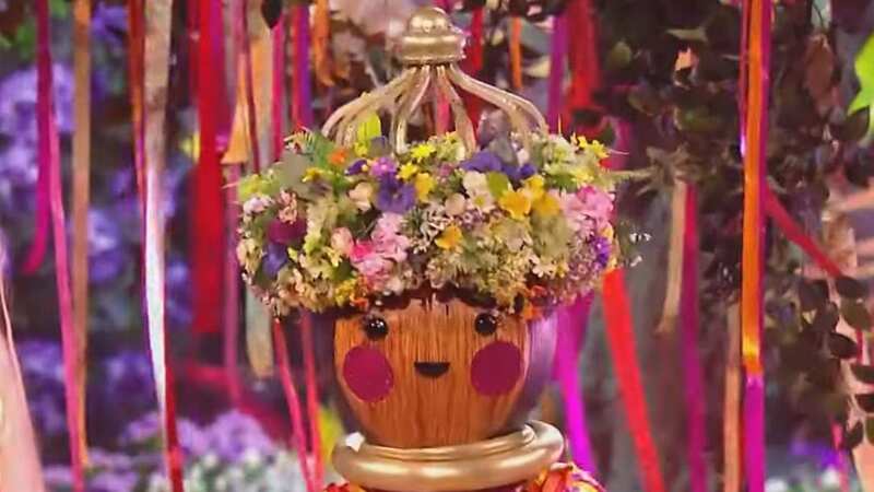 The Masked Singer fans figure out Maypole