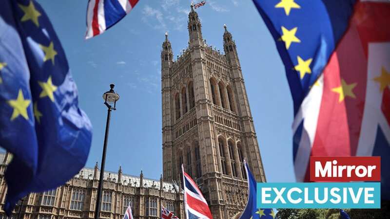 The poll identified a million undecided voters - who say they could vote tactically to change the government (Image: AFP via Getty Images)