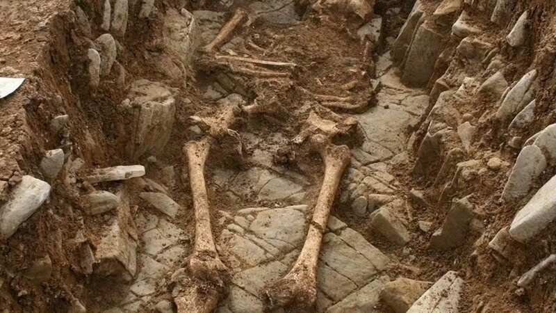 For two summers, a team has been carefully removing topsoil to expose graves carved into the bedrock (Image: University of Cardiff)