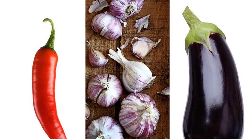 You can sow vegetables such as chillies, garlic and aubergines in January (Image: Getty)