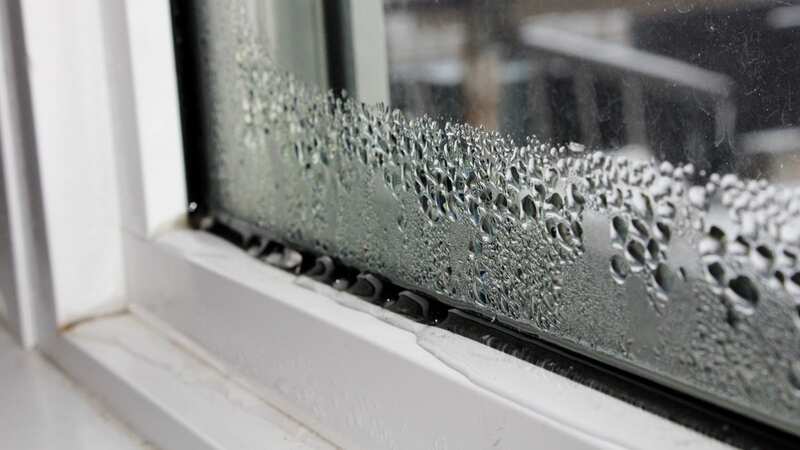 Expert says everyone should follow window 