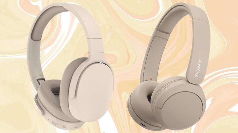 The £22 budget option versus the nearly matching pair from Sony (Image: Amazon)