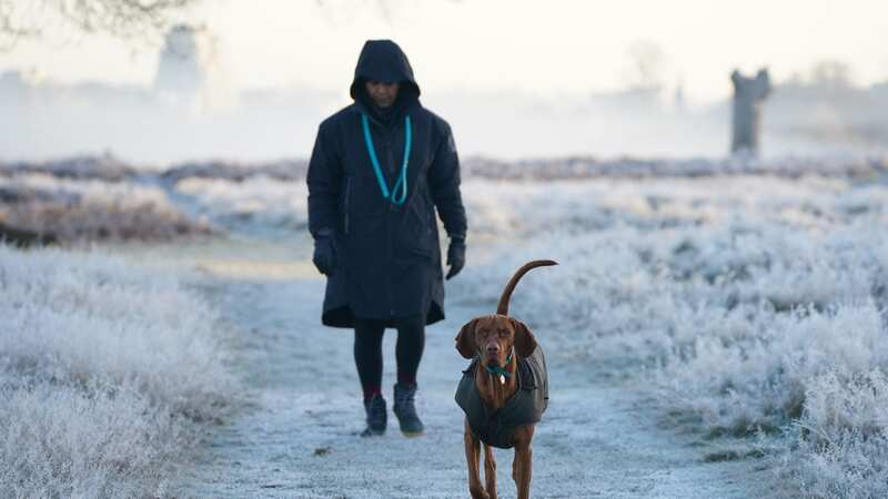 A woman walks a dog amongst frost covered vegetation in Bushy Park London after a night of low temperatures in the capital (Image: PA)