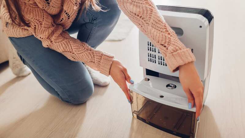 There are several different types of dehumidifiers (Image: Getty Images/iStockphoto)