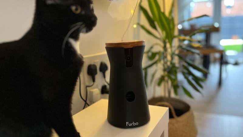 This cat camera has been a game changer in our household (Image: Eve Rowlands)