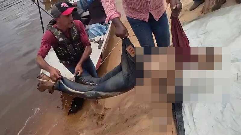 Skeletal remains of man eaten by piranhas dragged from river with clothes intact