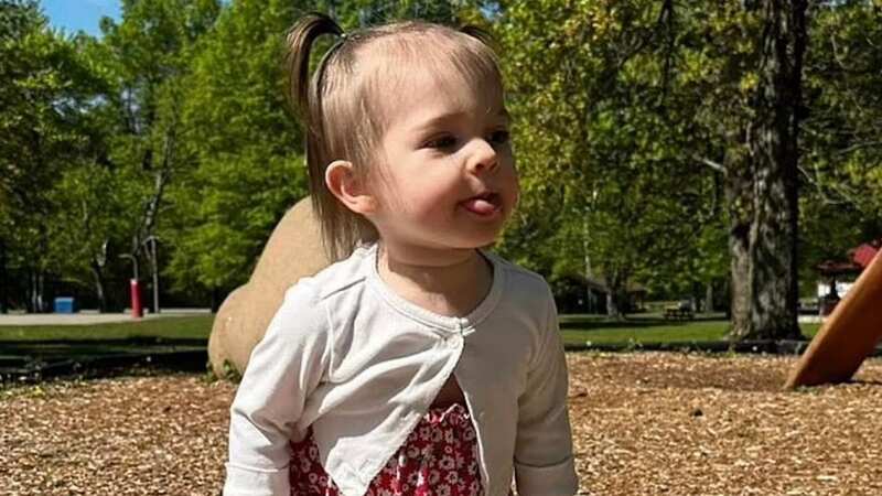 The 18-month-old girl, Iris Rita Alfera, was rushed to a Pennsylvania hospital (Image: Facebook)