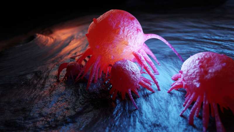 Cancer cells - new therapies using carbon nantubes could be the next weapon in the fight against the disease (Image: Getty Images/Westend61)