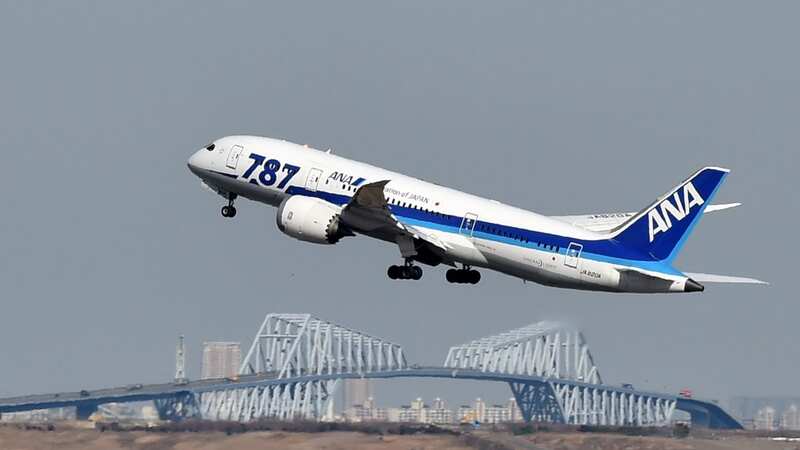 The plane had to turn around (file image) (Image: AFP/Getty Images)