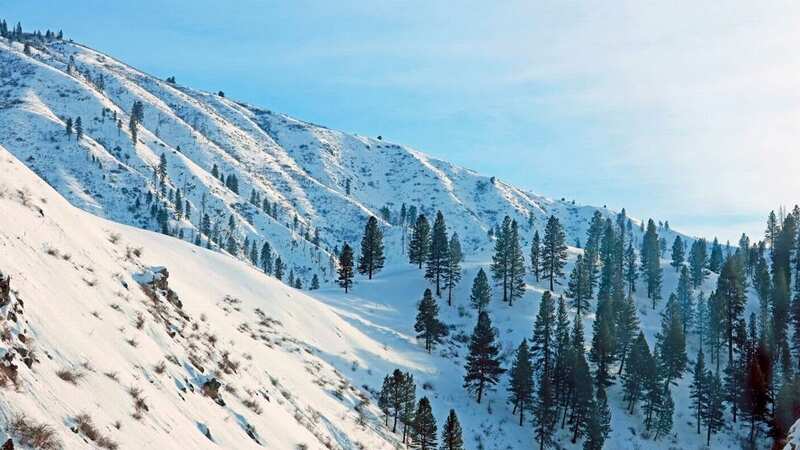 The three men were backcountry skiing in the area when an avalanche happened (Image: Universal Images Group via Getty Images)