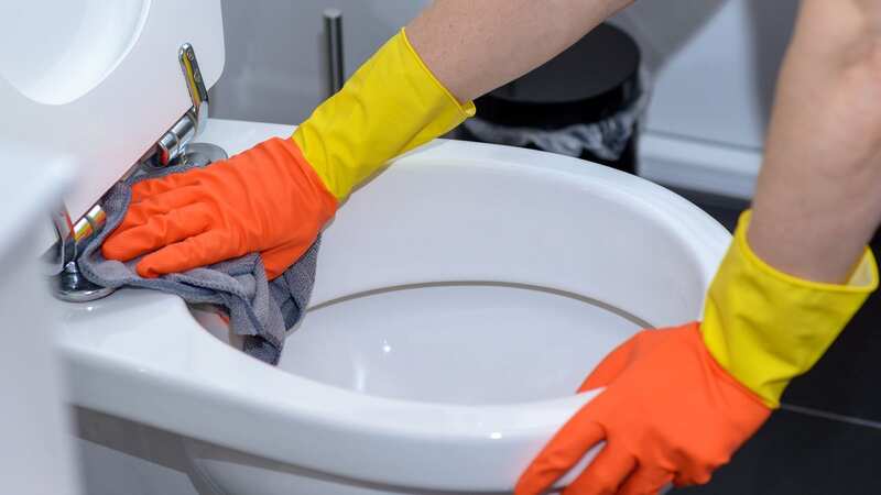 Professional plumbers says people should avoid this cleaning hack (stock photo) (Image: Getty Images/EyeEm)