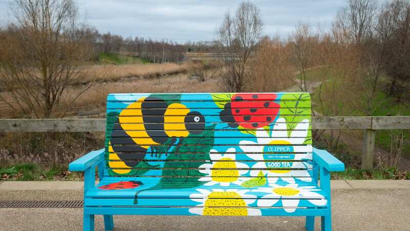 Eight in 10 adults say being around nature helps to put them in a good mood (Image: PinPep)