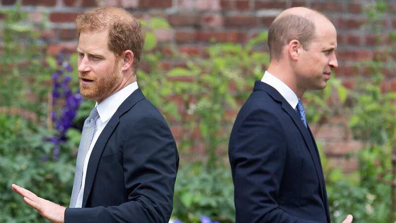 Prince Harry and Prince William have a strained relationship