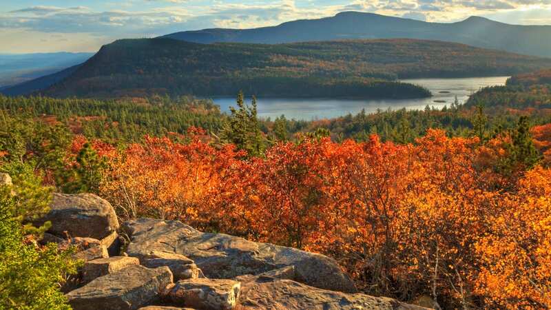 The forest is in a picturesque part of the Catskill Mountains, quite close to New York city (Image: Getty Images/iStockphoto)