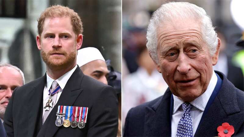 Prince Harry and King Charles are reported to have shared a "warm" phonecall last November