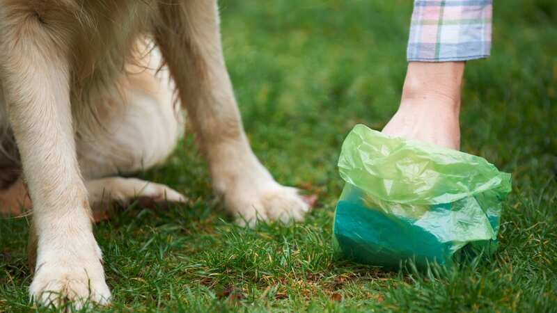She was furious with their attitude at cleaning up their dog