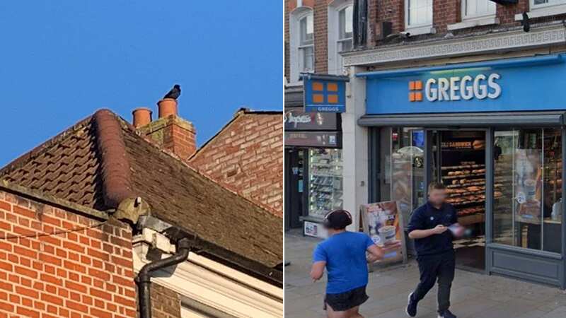 Greggs in Twickenham where the incidents have been taking place (Image: Google Maps)