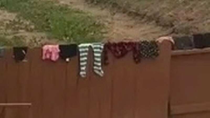 The cheeky neighbour used the woman