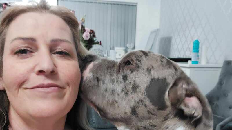 Paul the dog with Anna Marie (Image: Anna-Marie Stevens / SWNS)