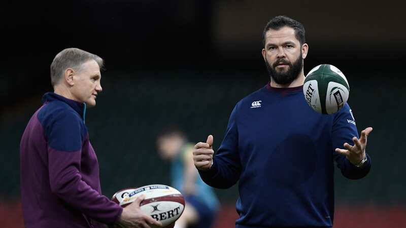 Joe Schmidt has been announced as the new Australia head coach