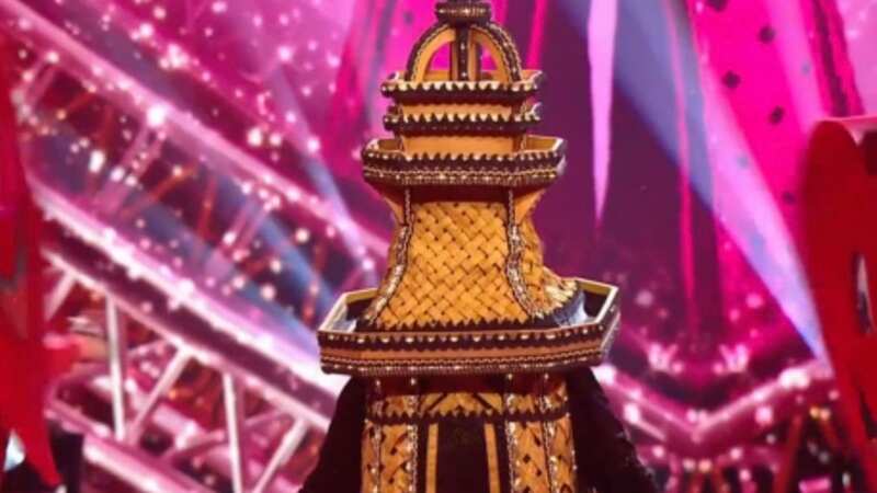 Masked Singer UK fans 