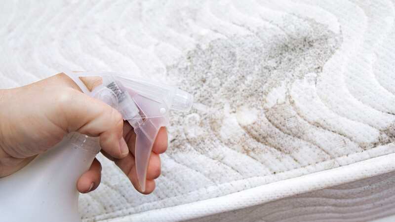 The solution will work wonders on stains (Image: Getty Images)