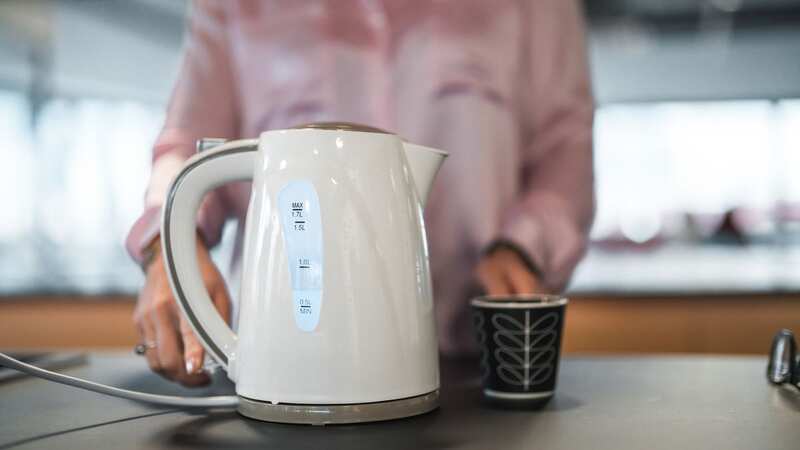 Tea experts have chimed in with their thoughts of salt in tea (Image: Getty Images)