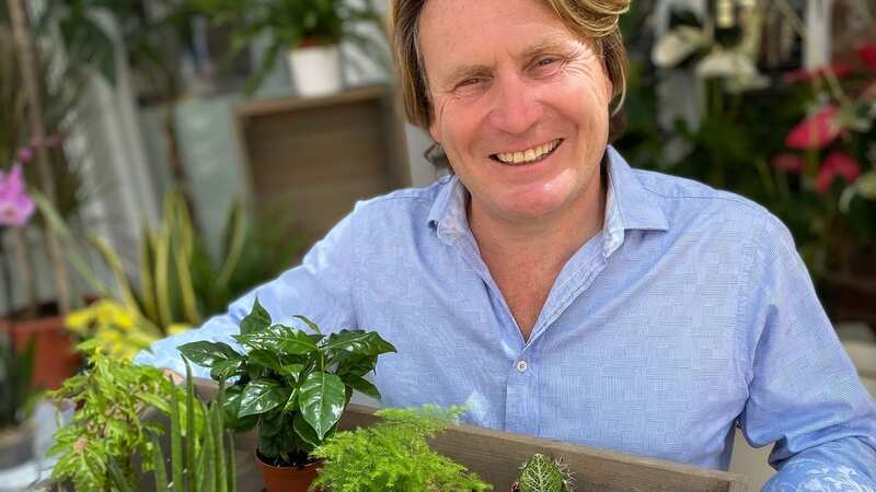 ITV gardening star David Domoney gives his top indoor plant recommendations to naturally boost home air quality and help reduce toxic mould causing condensation (Image: Supplied)