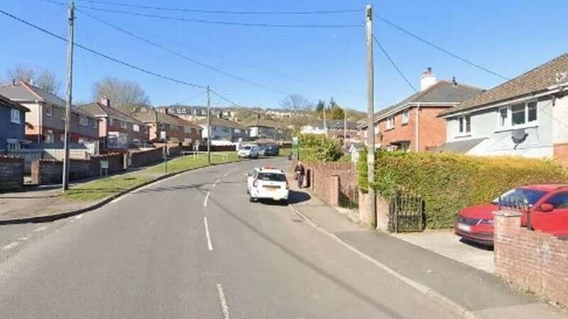 The father-of-three and self-employed electrician said he was "embarrassed and ashamed" of his actions (Image: google)