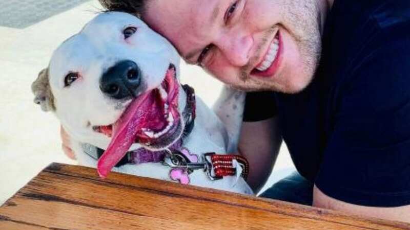 Jordan Willis pictured is an award-winning HIV scientist who has moved home and deleted all of his social media after three of his friends were mysteriously found dead on his property. On January 9, the bodies of his three friends - David Harrington, Ricky Johnson and Clayton McGeeney - were found in his backyard. They had been there since January 7, when the three men visited Willis to watch the Chiefs play the Los Angeles Chargers. https://github.com/jwillis0720 (Image: Github)
