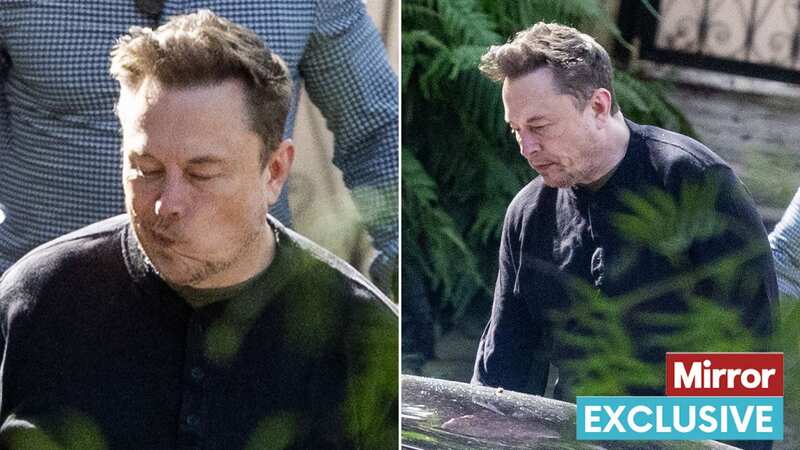 Elon Musk has lost more than half his net worth in just over one year (Image: SplashNews.com)