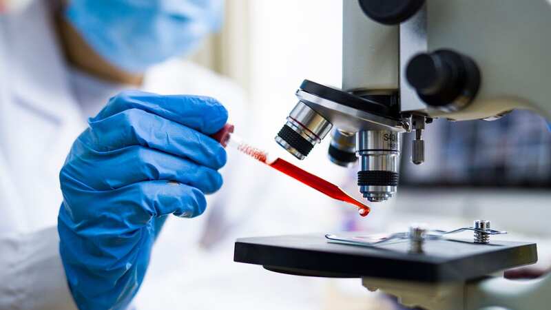 Scientists have found a way to reprogramme a type of white blood cell called a T-cell (Image: Getty Images)